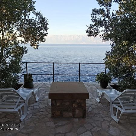 Villa House Jurasovic Gdinj Esterno foto